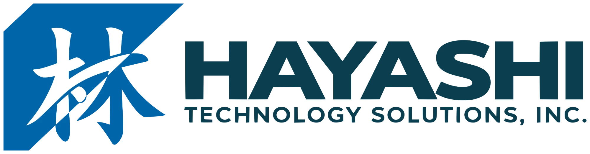 Hayashi Technology Solutions, Inc.